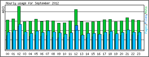 Hourly usage