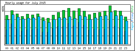 Hourly usage