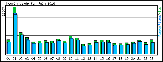 Hourly usage