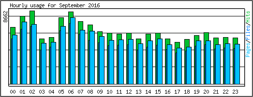 Hourly usage