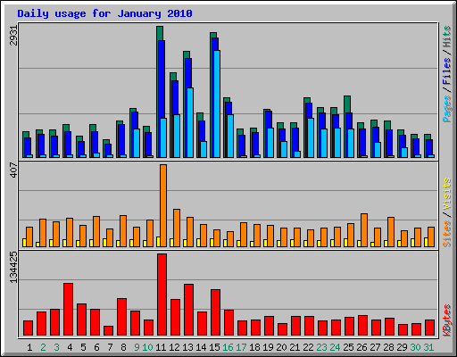 Daily usage for January 2010